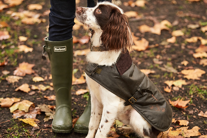 Barbour Battersea Wax Dog Coat
