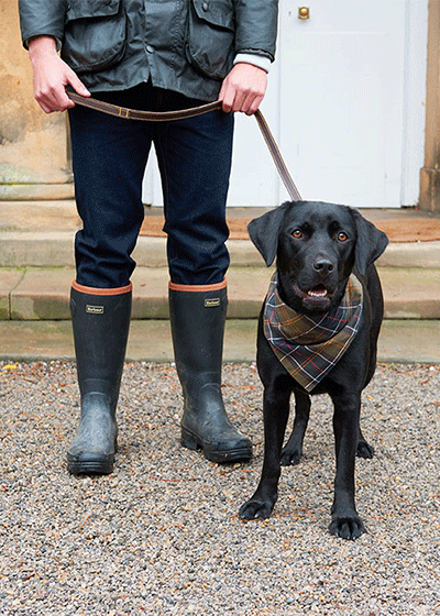 barbour dog bandana