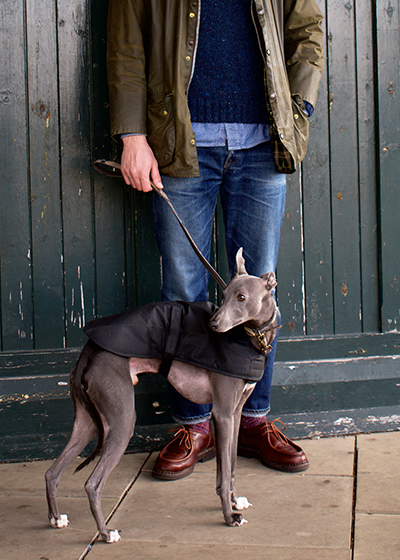 barbour greyhound coat
