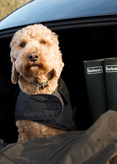 barbour waxed cotton dog coat
