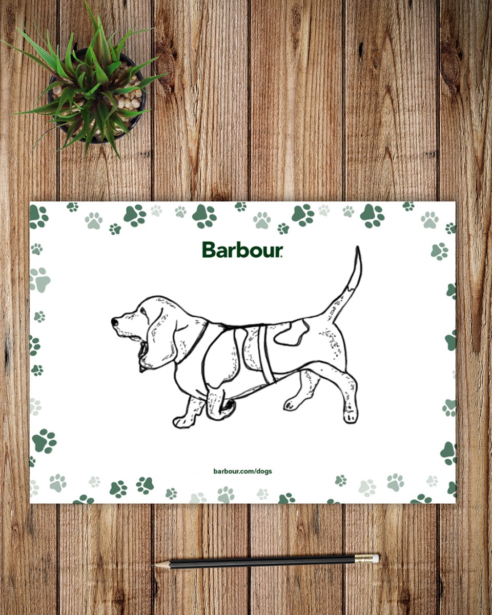 barbour dog scarf