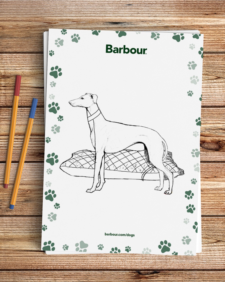barbour whippet coat