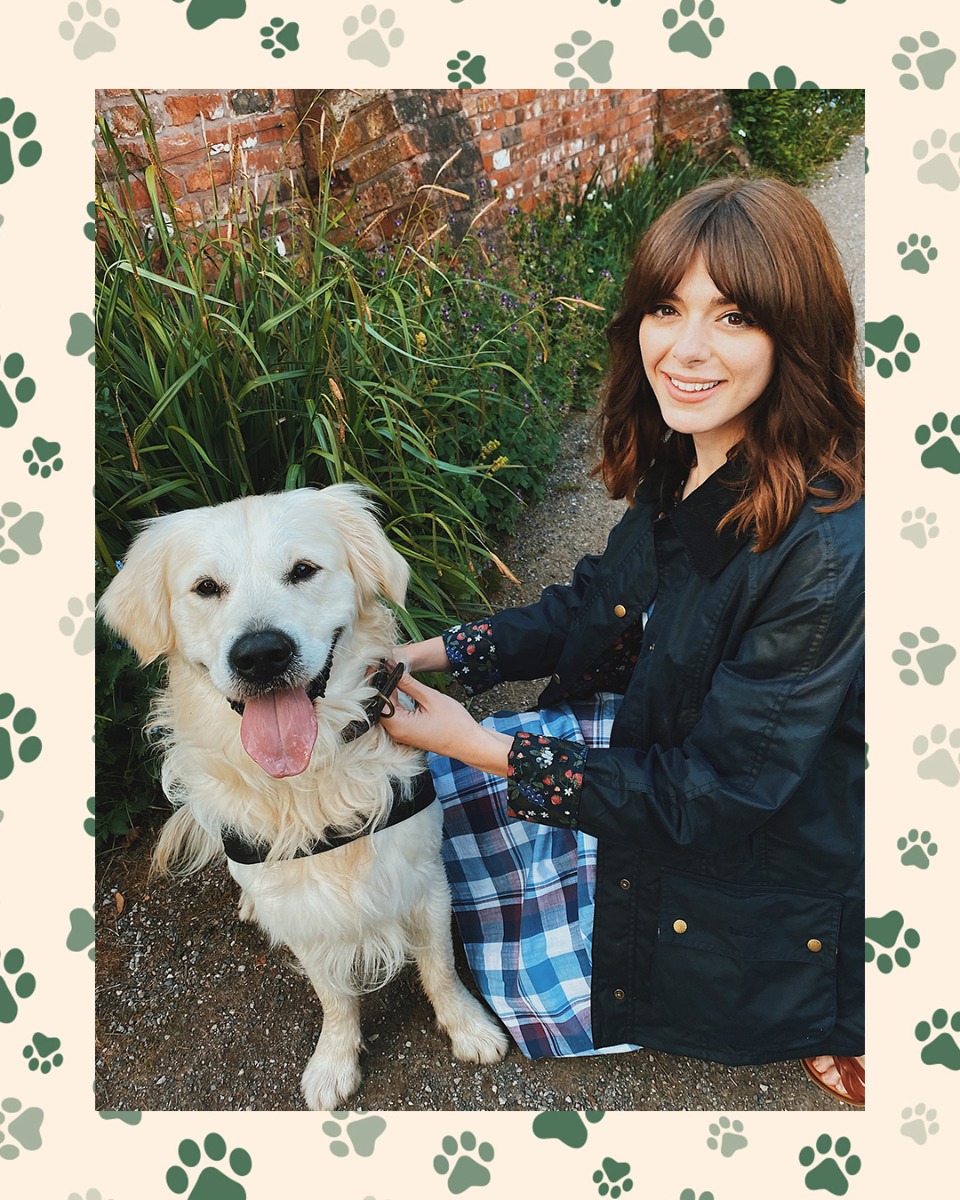 barbour dog vest