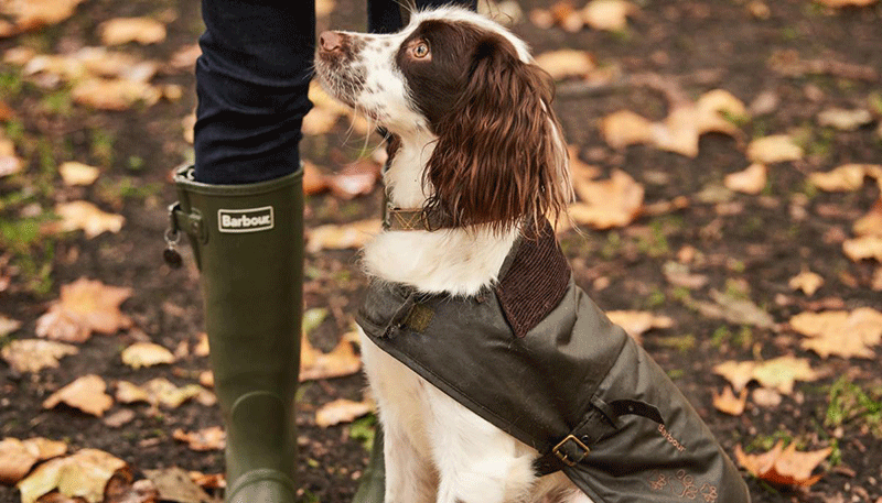 barbour battersea dog coat