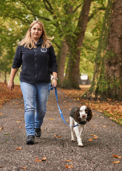 barbour battersea dog coat