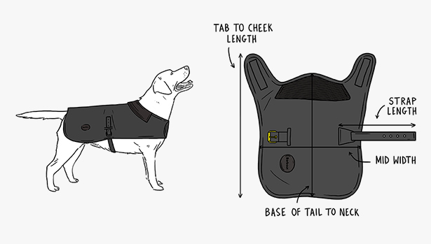 barbour dog size guide