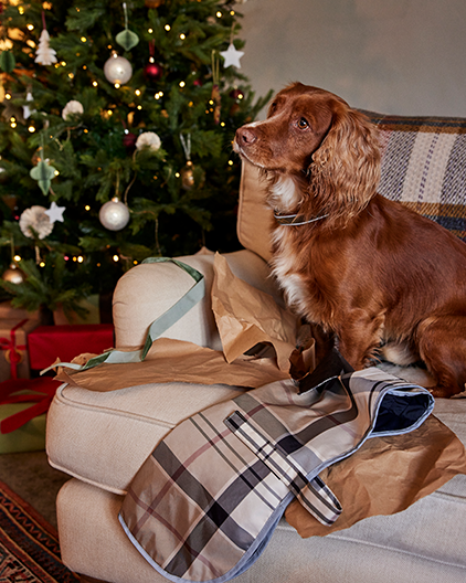 Barbour Dogs Christmas Gifts