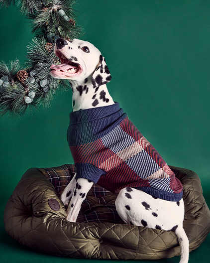 Barbour Accessories